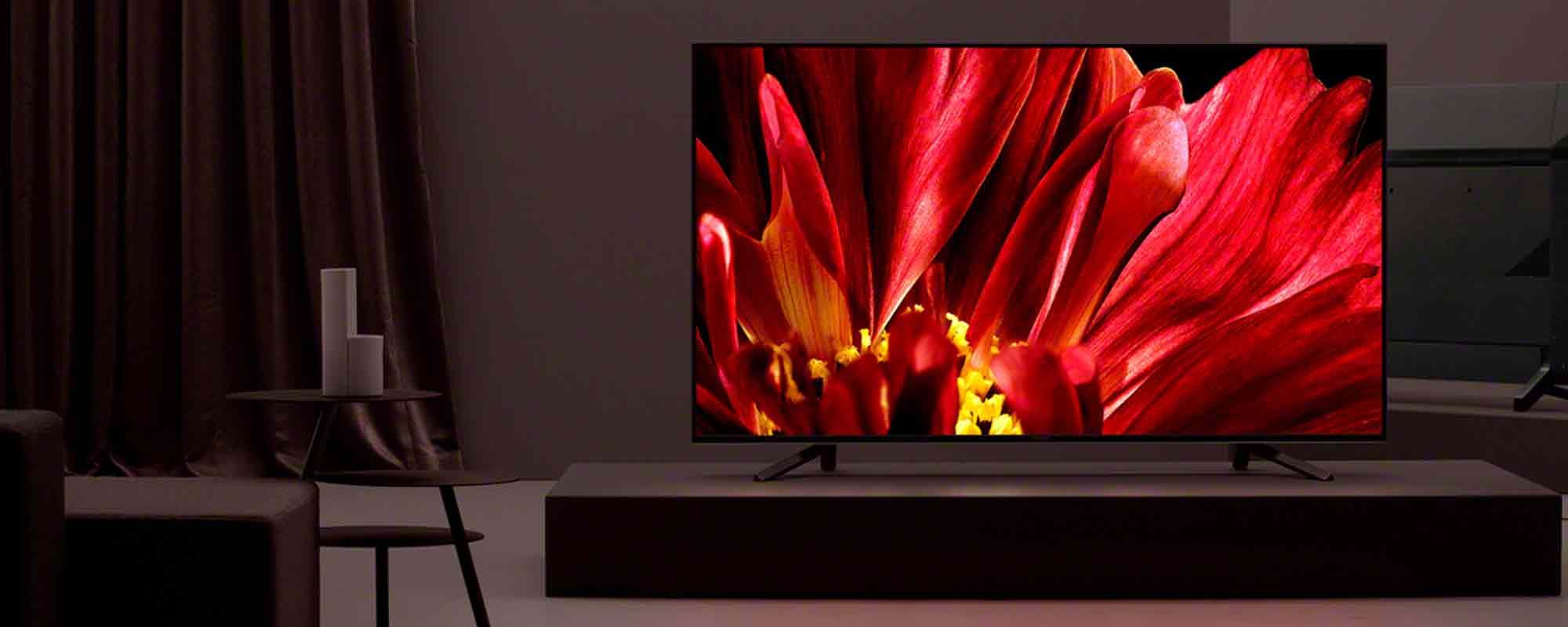 Sony image of vibrant red flower on screen